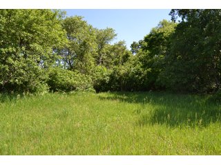 <b>PRICE REDUCED: $5,900 per acre</b><br>
This property offers productive tillable land along with two wooded areas.  Much of the larger woods near the road is on a ridge.  Investigate this area for a potential beautiful homesite as well as for hunting and recreational opportunities. <br>
<b>156.9+/- </b>Total Acres | <b>145.83+/-</b> Tillable Cropland Acres per FSA | <b>10+/-</b> Wooded Acres - 156.9+/- Acres For Sale - Cropland, Woods for Hunting/Recreational & Potential Building Sites
